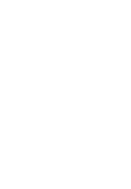 Showbird